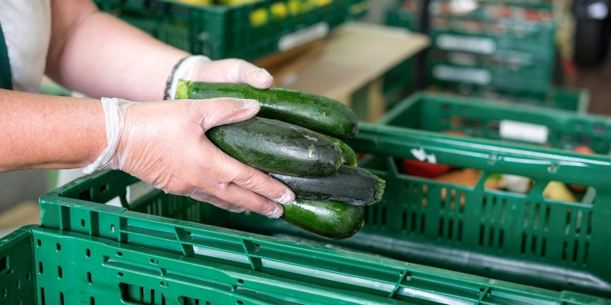 Tools for Tackling Food Insecurity in BC - The i-Open Group Collaborates with UFV to Launch the Abbotsford Food Asset Map