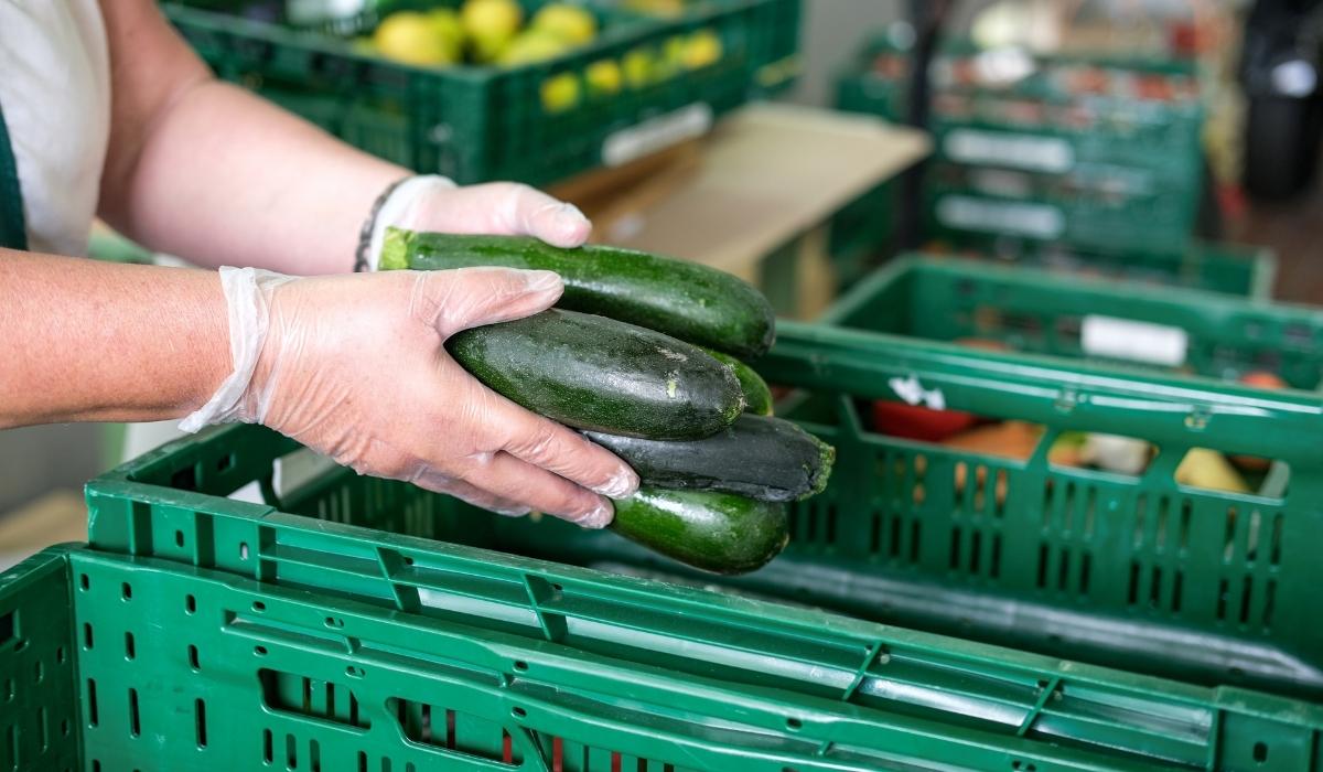 Tools for Tackling Food Insecurity in BC - The i-Open Group Collaborates with UFV to Launch the Abbotsford Food Asset Map